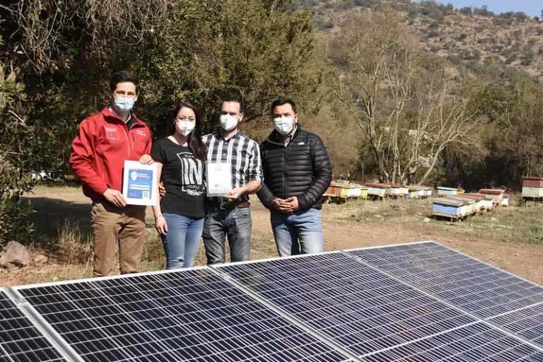 Painino y sus abejas migran a energía renovable y se adjudican concurso “Ponle Energía Tu Pyme”