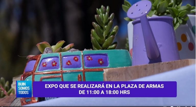 A los emprendedores de Buin se les acaba el tiempo