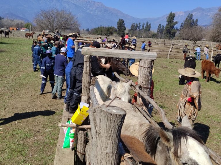 Operativo veterinario en Pintué benefició a más de 40 ganaderos