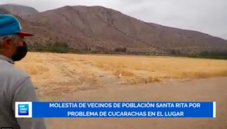 Viña Santa Rita fumigará el campo y pedirá a arrendatario mantenerlo limpio