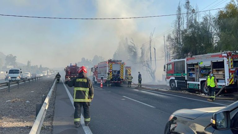 Incendio forestal en «Las Colonias», de Paine, está controlado