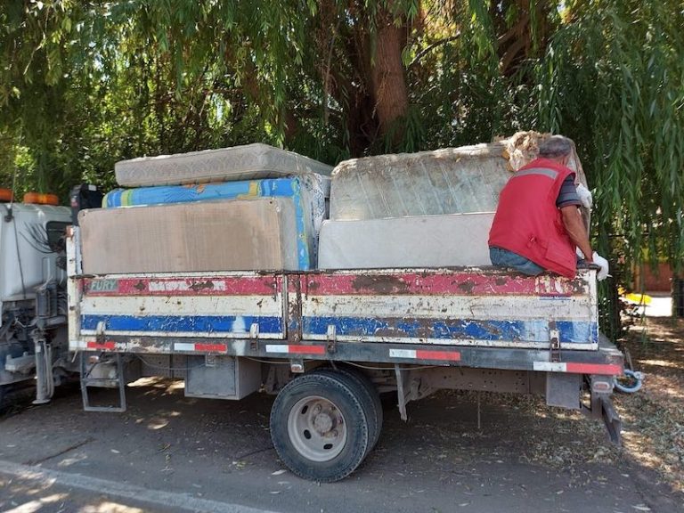 Este sábado se realizará el 14° operativo para retirar cachureos en Paine