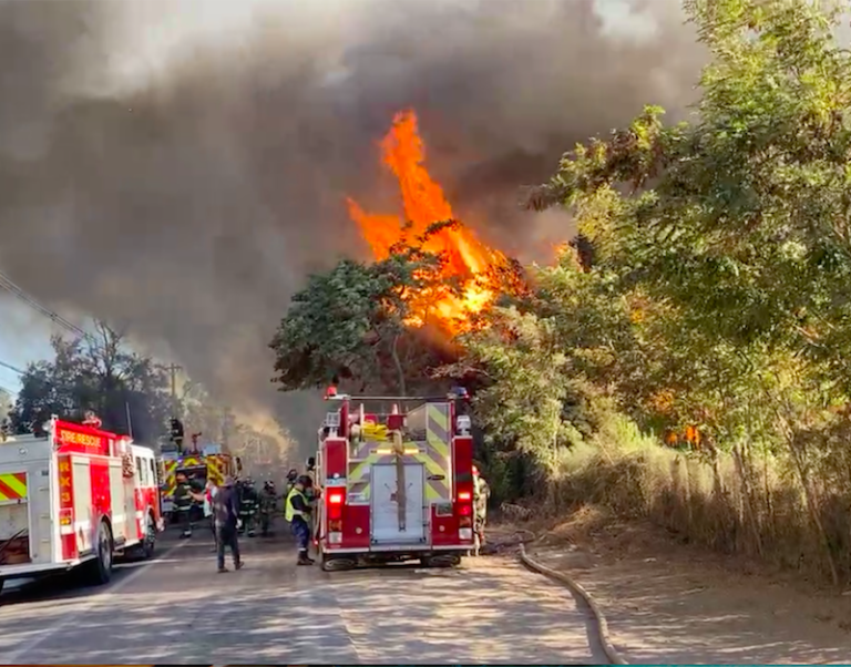 Perder la pega, la otra cara del dantesco incendio de la fábrica de pallets