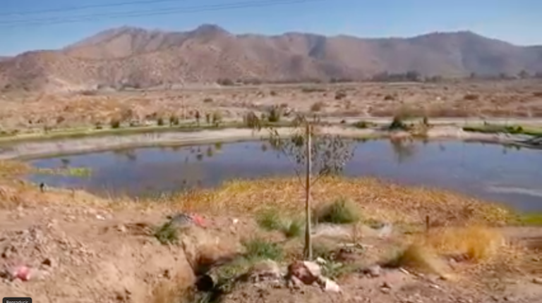 Se trabaja para mantener Laguna de Maipo y piden a vecinos no pescar ni tirar basura