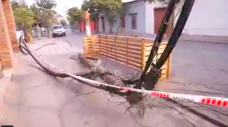 Detienen in fraganti a ladrones que cortaban y robaban cables de fibra óptica
