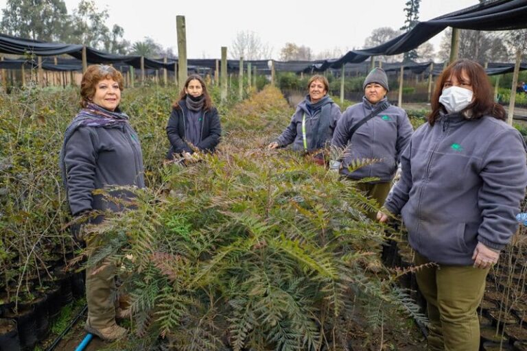 Plantar bosque nativo es el mejor de los trabajos