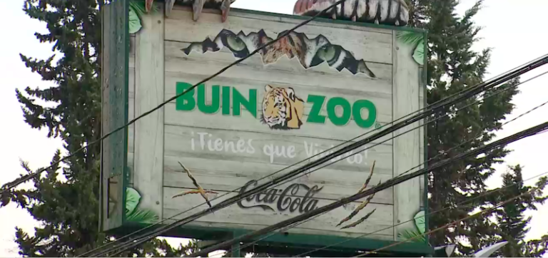 Zarpazo en el Buin Zoo: roban 2 camionetas desde el estacionamiento pagado