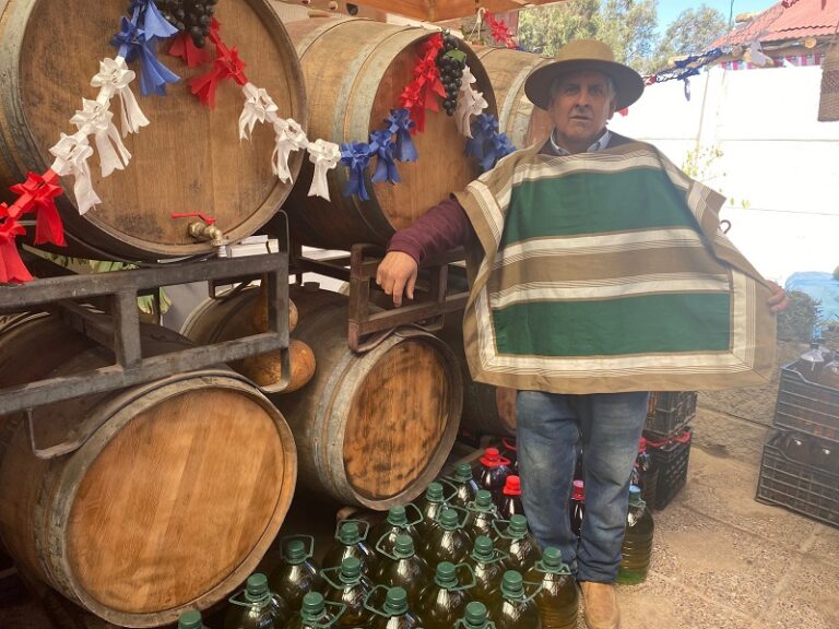 «Donde Ñungo» la chicha y pipeño dieciocheros esperan por usted