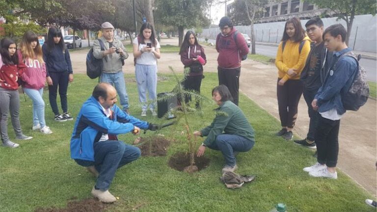 Una comunidad que apuesta por el “vermicompostaje”