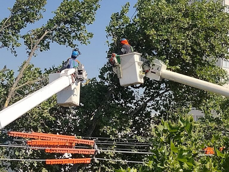 CGE informa avances del plan integral para mejorar calidad de suministro eléctrico en San Bernardo