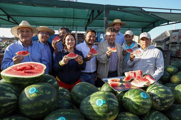 La sandía de Paine ya tiene la corona de reina del verano