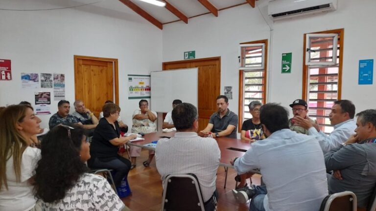 CGE se reúne con dirigentes y municipio para abordar despeje de vegetación bajo redes eléctricas realizadas en Champa