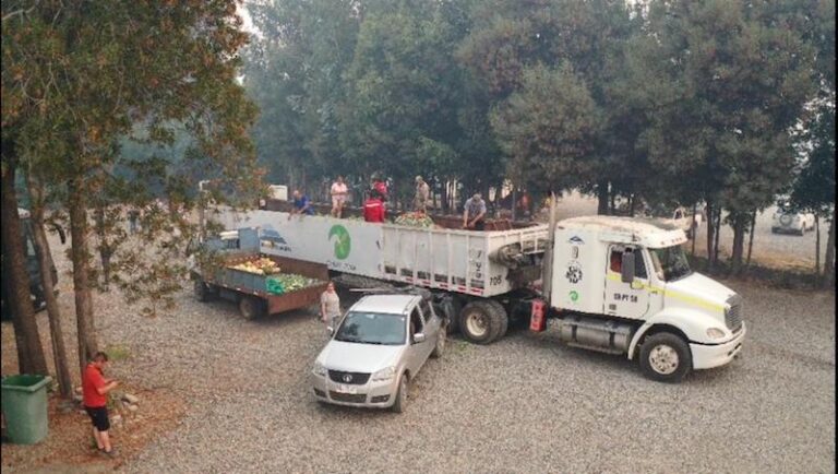 Santa Marta entrega 10 toneladas de residuos orgánicos para alimentar animales de Chillán