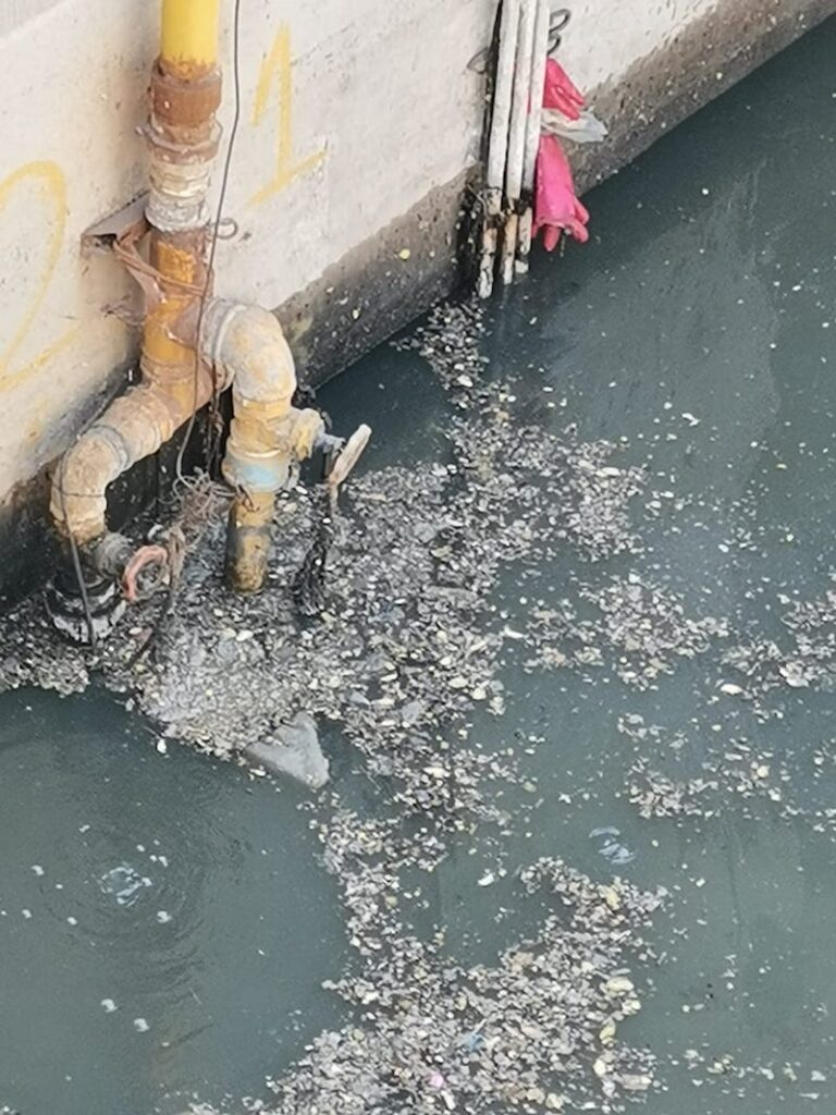 Crisis sanitaria y desalojo, los fantasmas que acechan a «La Estrella» ante inminente colapso de planta de aguas servidas