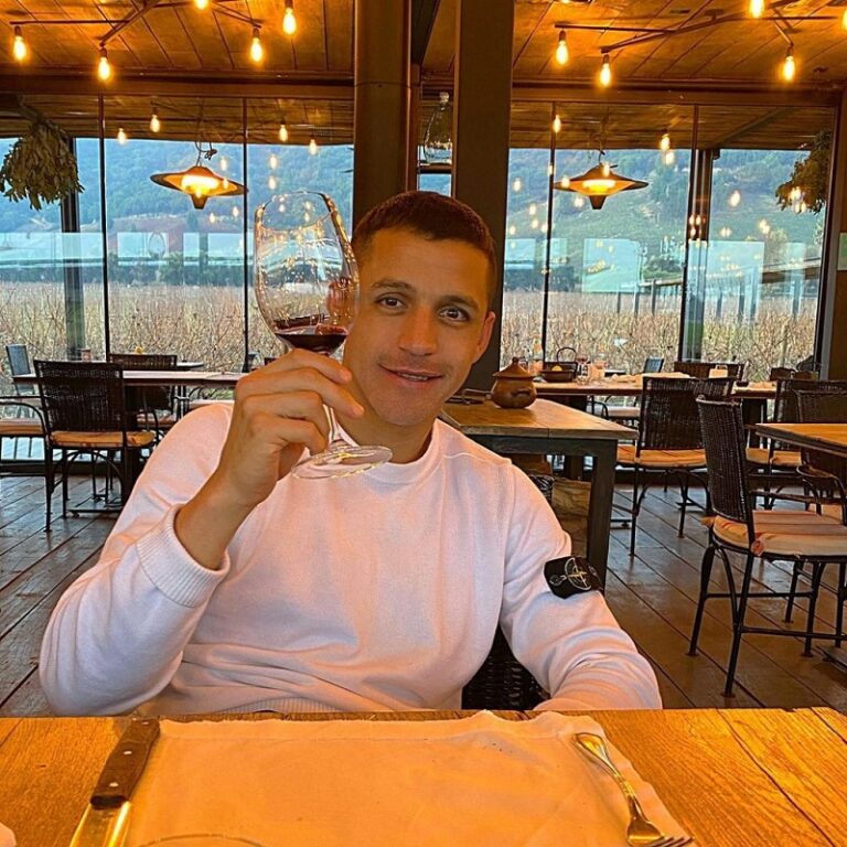 Demandan a Alexis Sánchez por compra de terrenos en Paine