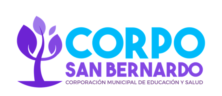 Corporación de San Bernardo pagó $40 millones por contrato que no se cumplió: acuerdo involucra a militantes del PS