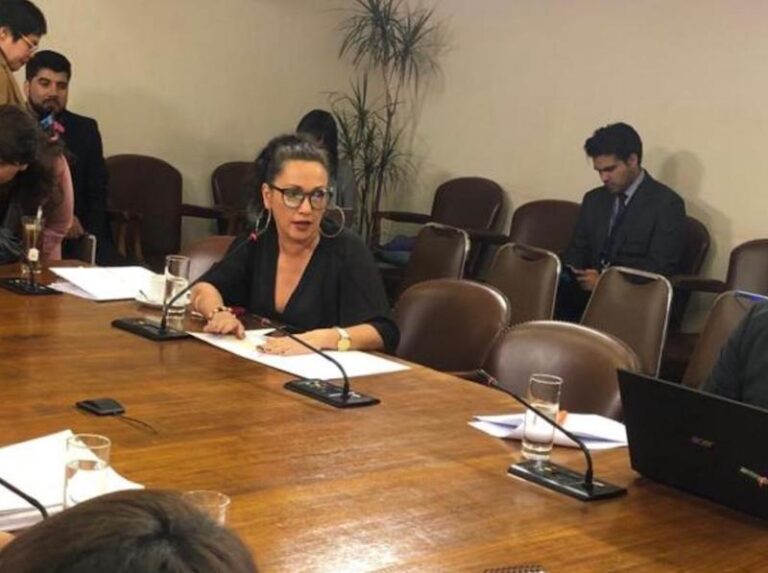 Crisis en Salud y Educación: diputada Marisela Santibáñez pide oficiar a Corsaber para que autoridades expliquen situación financiera