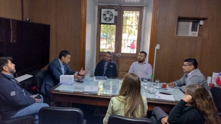 CGE Tramisión y CGE Distribución se reúnen con municipalidad de Paine para coordinar despejes de redes eléctricas