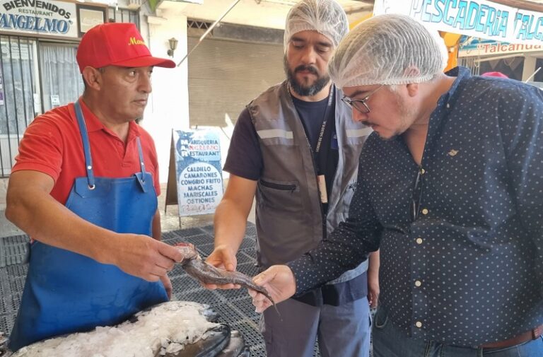 Autoridad sanitaria fiscaliza pescaderías y pide denunciar productos malos
