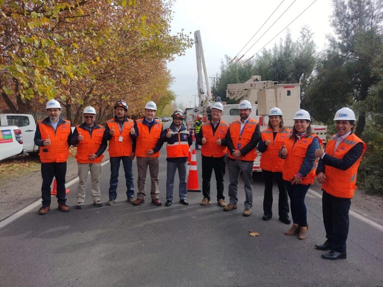 CGE informa acciones del plan invierno con foco en el despeje de vegetación y atención prioritaria de electrodependientes