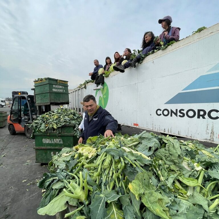 Consorcio Santa Marta entrega ayuda a Licantén con más de 12 toneladas de alimento para animales