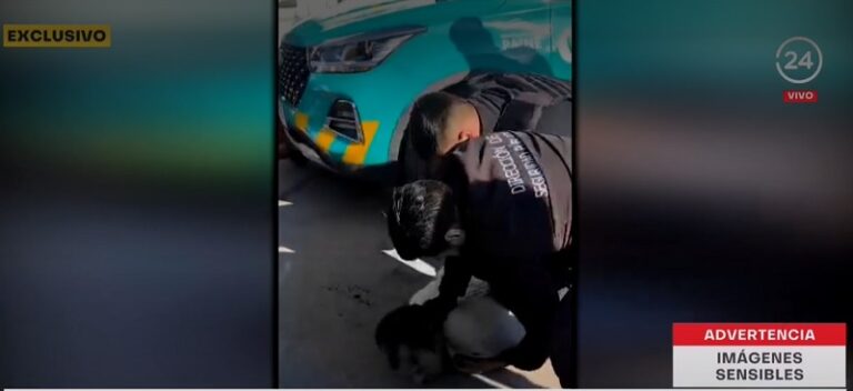 Municipio de Paine aclara que no hay guardias de seguridad formalizados por golpiza