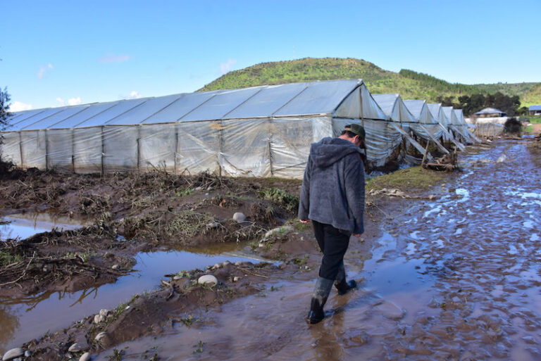 En Paine comenzó catastro de agricultores que recibirán bono por daños y condonaciones