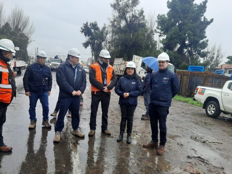 Ministerio de Energía supervisa faenas de reposición de servicio de CGE por caída de árbol en San Bernardo