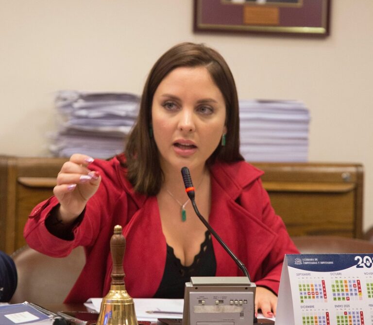 Diputada Camila Musante es la nueva presidenta de comisión investigadora del megafraude tributario