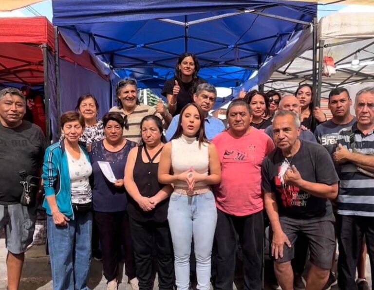 Diputada Camila Musante pide a Concejo Municipal de San Bernardo rechazar modificaciones a Ordenanza del ‘Persa del 40’