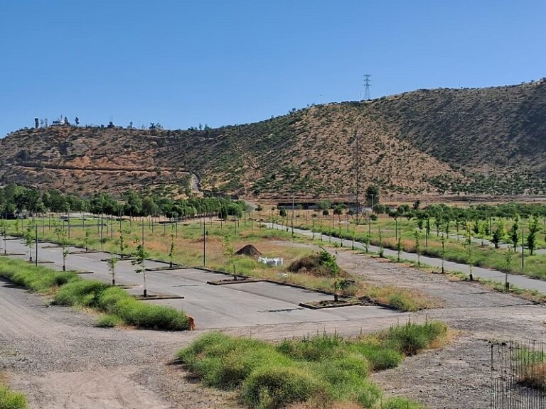 En marcha proyecto para generar paisaje de retención de agua en Cerro Chena