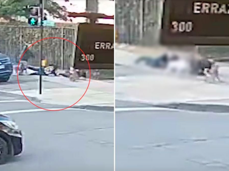Jauría de perros ataca madre y arrebata a su hijo de un año en Buin