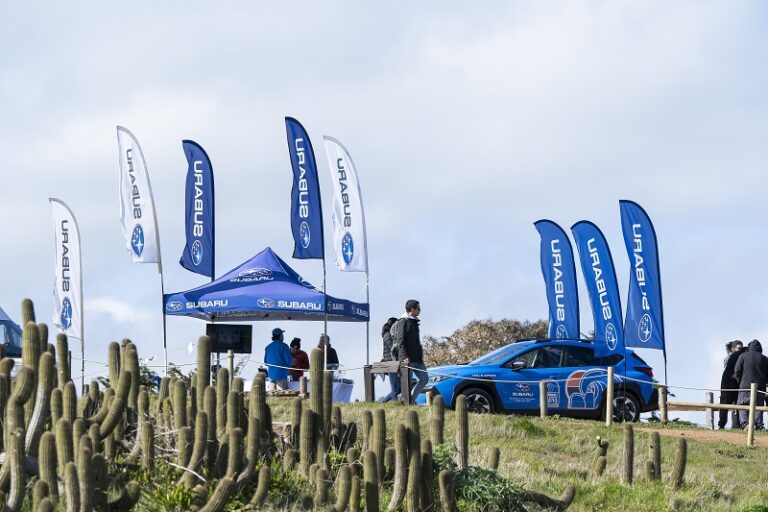 Subaru, testigo del cierre de temporada 2024 de «Lobos por Siempre 2024»