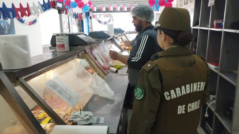Seremi de salud RM fiscaliza carnicerías en San Bernardo