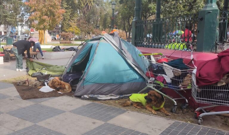 San Bernardo: retiran rucos donde dormían personas en situación de calle