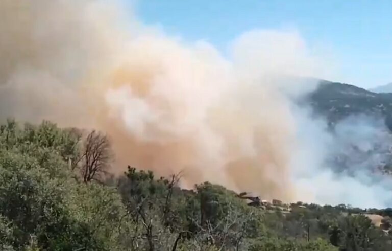 Esperan controlar este martes incendio que ha consumido 40 hectáreas en Paine