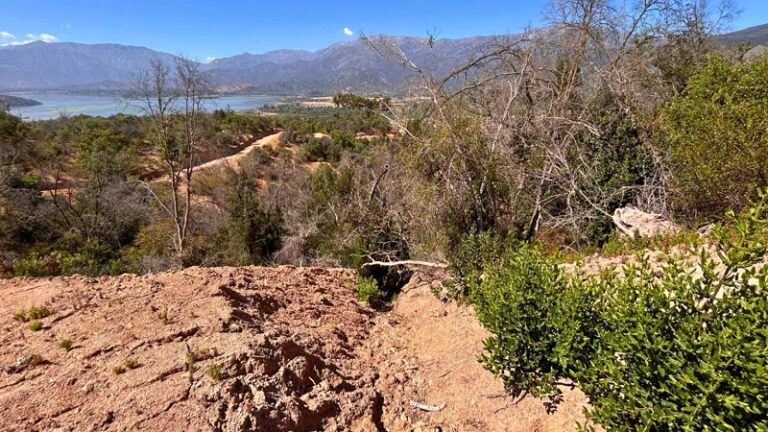 En Paine cortan bosque nativo de preservación e Inmobiliaria Santa Carlota SpA niega ingreso al predio a Conaf RM