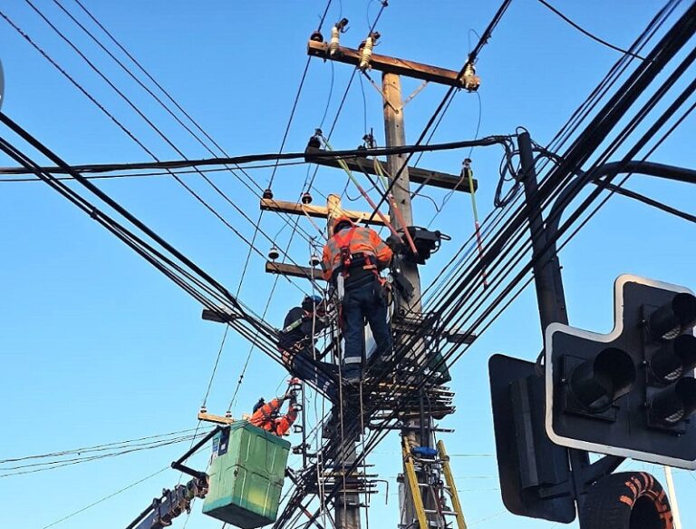 CGE informa reiterado robo de cables que afectó a unos 200 clientes de El Bosque
