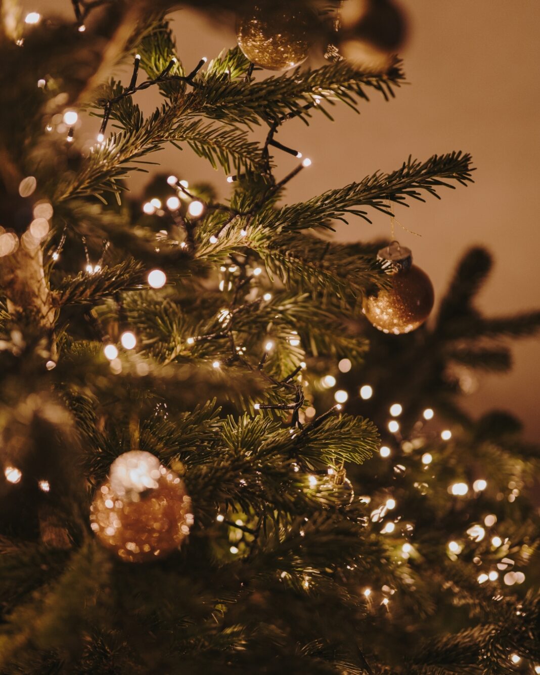 WhatsApp Image 2025-12-11 at 17.45.45